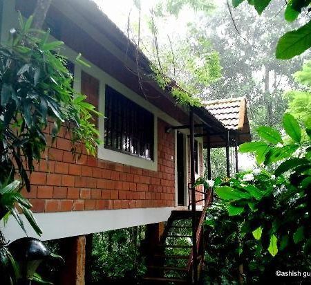Coffee Acres Plantation Resort Kalpatta Buitenkant foto