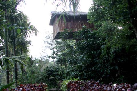 Coffee Acres Plantation Resort Kalpatta Kamer foto