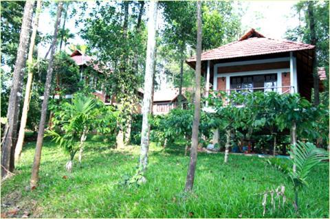 Coffee Acres Plantation Resort Kalpatta Buitenkant foto