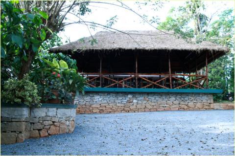 Coffee Acres Plantation Resort Kalpatta Buitenkant foto